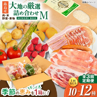全3回定期便 糸島産 肉 米 野菜 果物 厳選詰め合わせ MINORI BOX M [AOP012]
