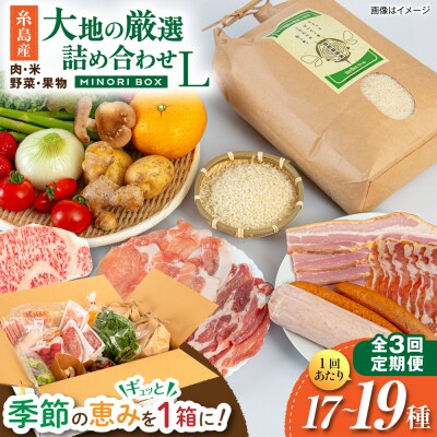 全3回定期便 糸島産 肉 米 野菜 果物 厳選詰め合わせ MINORI BOX L [AOP016]