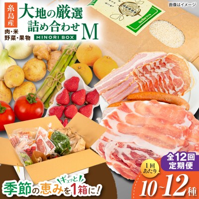全12回定期便 糸島産 肉 米 野菜 果物 厳選詰め合わせ MINORI BOX M[AOP014]
