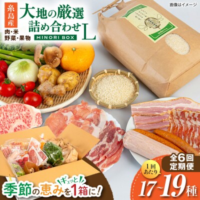 全6回定期便 糸島産 肉 米 野菜 果物 厳選詰め合わせ MINORI BOX L [AOP017]