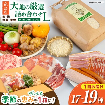 糸島産 肉 米 野菜 果物 厳選詰め合わせ MINORI BOX L [AOP015]