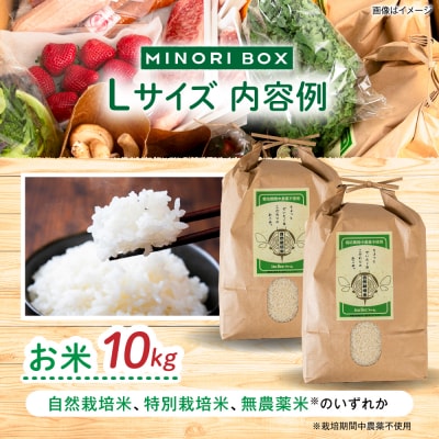 糸島産 肉 米 野菜 果物 厳選詰め合わせ MINORI BOX L [AOP015]