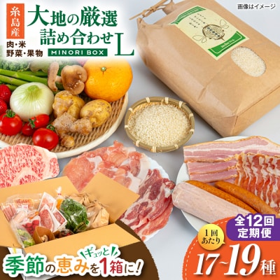 全12回定期便 糸島産 肉 米 野菜 果物 厳選詰め合わせ MINORI BOX L[AOP018]
