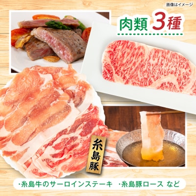 全12回定期便 糸島産 肉 米 野菜 果物 厳選詰め合わせ MINORI BOX L[AOP018]
