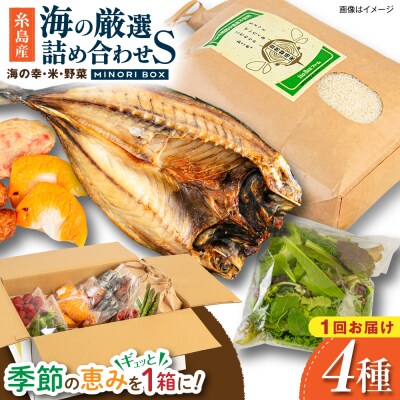 糸島産 魚 米 野菜 果物 厳選詰め合わせ MINORI BOX S [AOP019]