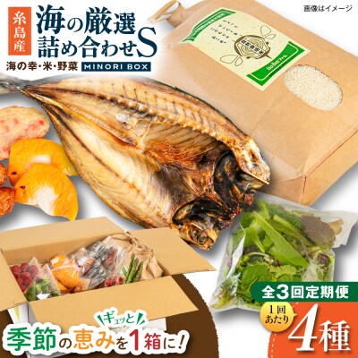 全3回定期便 糸島産 魚 米 野菜 果物 厳選詰め合わせ MINORI BOX S [AOP020]