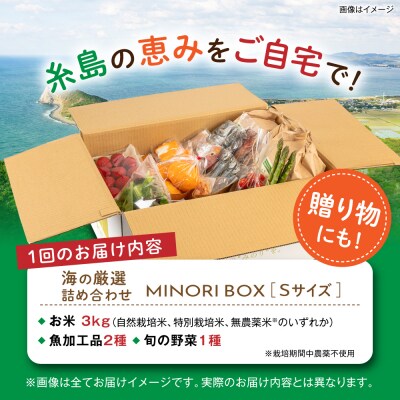 全3回定期便 糸島産 魚 米 野菜 果物 厳選詰め合わせ MINORI BOX S [AOP020]