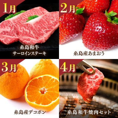 【全12回】【限定30セット】プレミアム定期便 糸島市 / 伊都菜彩 [AED011]