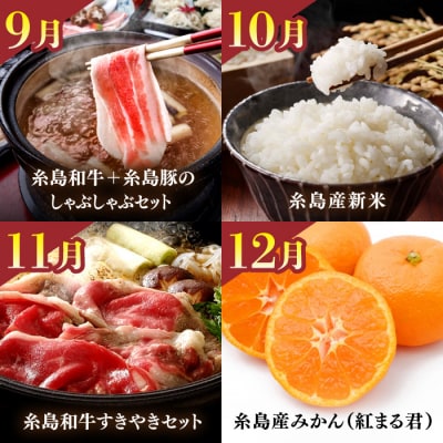 【全12回】【限定30セット】プレミアム定期便 糸島市 / 伊都菜彩 [AED011]