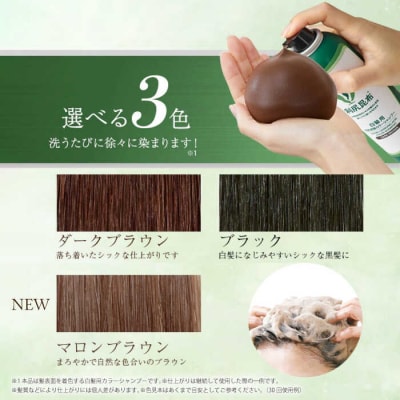 色が選べる!10本セット】[白髪用]利尻炭酸カラーシャンプー+