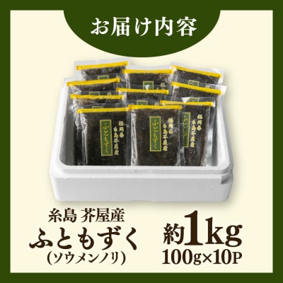 糸島産ふともずく(ソウメンノリ)100g×10P　糸島漁業協同組合芥屋支所 [AHR002]