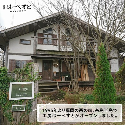 木製 SAKANAの一輪挿し 糸島市 / 工房はーべすと 花瓶 花器 [AYA078]