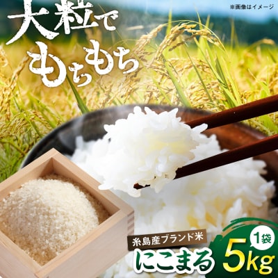 【令和7年産】 にこまる 玄米品質1等米 白米 5kg 糸島市産[AGR001]