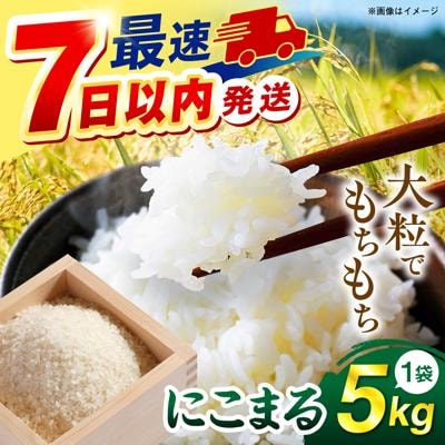 【スピード発送】令和7年産 にこまる 玄米品質1等米 白米 5kg 糸島市産[AGR001]