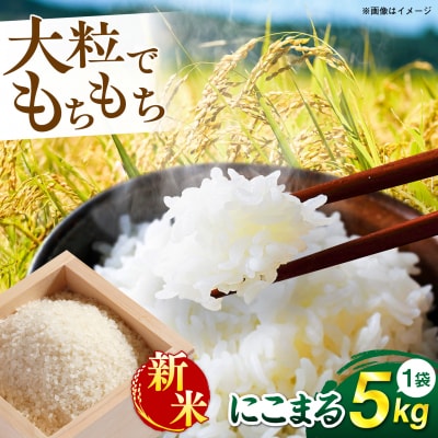 にこまる 玄米品質1等米 白米 5kg
