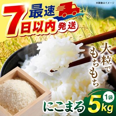 【スピード発送】令和7年産 にこまる 玄米品質1等米 白米 5kg 糸島市産[AGR001]