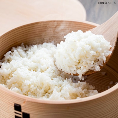 【令和7年産】 にこまる 玄米品質1等米 白米 5kg 糸島市産[AGR001]