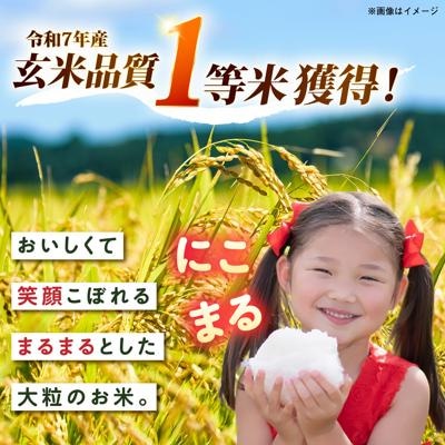 【スピード発送】令和7年産 にこまる 玄米品質1等米 白米 5kg 糸島市産[AGR001]