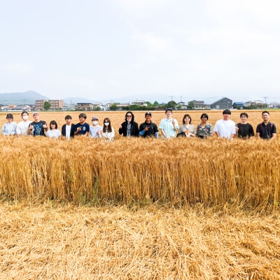 【令和7年産】 にこまる 玄米品質1等米 白米 5kg 糸島市産[AGR001]