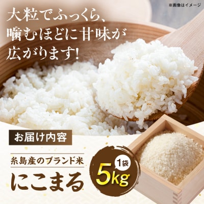 【令和7年産】 にこまる 玄米品質1等米 白米 5kg 糸島市産[AGR001]