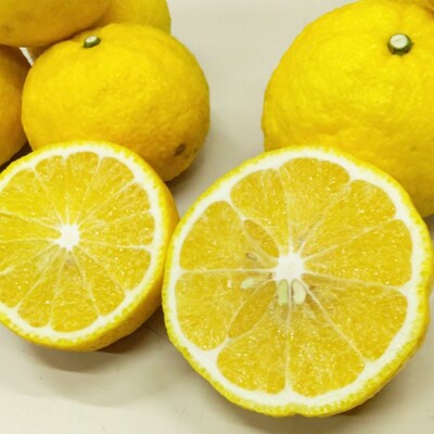 糸島産 「はるか」 ジャンボサイズ 約5kg(3L-4Lサイズミックス)[ABB031]