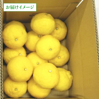 糸島産 「はるか」 ジャンボサイズ 約5kg(3L-4Lサイズミックス)[ABB031]