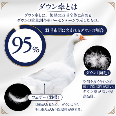 【シングル】 羽毛 布団 本掛け ベージュ アイダーダウン95% [AYM023]