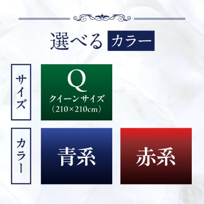 【クイーン】 羽毛 布団 本掛け 2層式 ポーランド産 グースダウン95%  [AYM031]