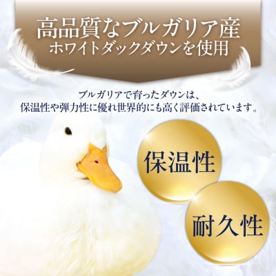 羽毛 布団 本掛け 無地 ブルガリア産 ダウン93%【クイーン】 [AYM036]