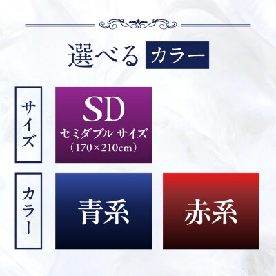 【セミダブル】 羽毛 布団 本掛け 2層式 ポーランド産 グースダウン95%  [AYM029]