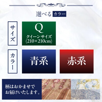【訳あり】羽毛 布団 本掛け 柄おまかせ フランス産 ダウン93%【クイーン】[AYM039]
