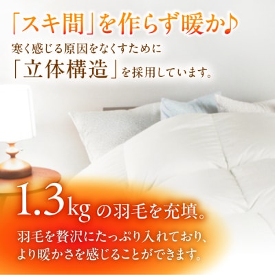 【シングル】羽毛 布団 本掛け 無地 ダウン93%  [AYM033]