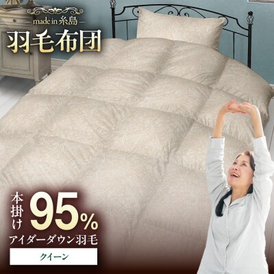 【クイーン】 羽毛 布団 本掛け ベージュ アイダーダウン95%  [AYM026]