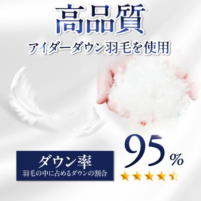 【クイーン】 羽毛 布団 本掛け ベージュ アイダーダウン95%  [AYM026]