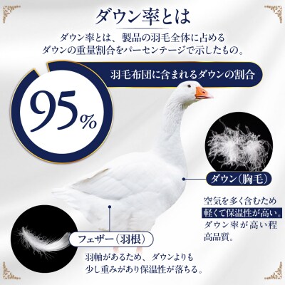 【クイーン】 羽毛 布団 本掛け ベージュ アイダーダウン95%  [AYM026]