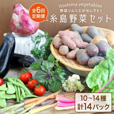 【全6回定期便】旬を味わう 糸島 野菜 セット 10～14種 (14パック) [AJB002]