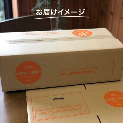 【全6回定期便】旬を味わう 糸島 野菜 セット 10～14種 (14パック) [AJB002]