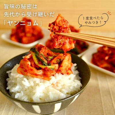 玉家 の キムチ セット D ( 白菜 / 葱 / 胡瓜 & 大根 )  [AAE004]