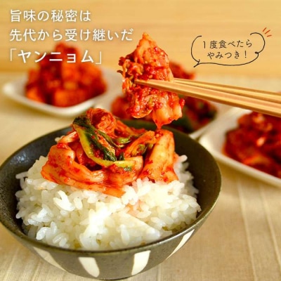 玉家 の キムチ セット B ( 白菜 / 葱 / 胡瓜 / 大根 ) [AAE002]