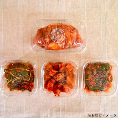 玉家 の キムチ セット B ( 白菜 / 葱 / 胡瓜 / 大根 ) [AAE002]