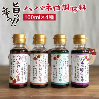 ハバネロ 調味料 100ml 4本 セット [ACC014]