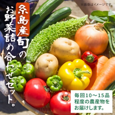 【全12回定期便】糸島産旬の野菜盛り合わせセット[AWC009]