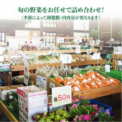 【全12回定期便】糸島産旬の野菜盛り合わせセット[AWC009]