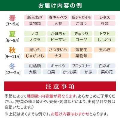 【全12回定期便】糸島産旬の野菜盛り合わせセット[AWC009]