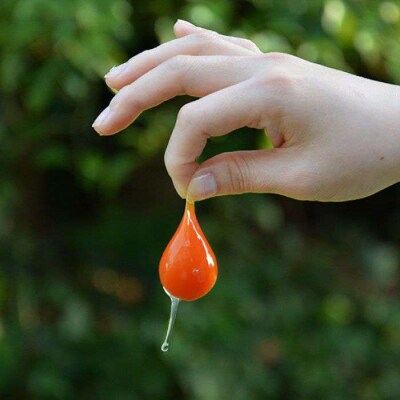 【 つまんでご卵 】糸島 ロールケーキ 2種 セット 糸島 / 緑の農園 [AGA001]