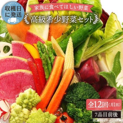 【 全12回 定期便 】こだわり 高級希少野菜 セット ( 7品 前後 ) [AGE018]