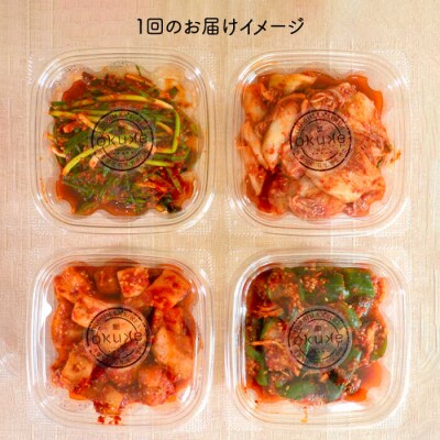 【全3回定期便】玉家のキムチ セットC (白菜 / 葱 / 胡瓜 / 大根)[AAE014]