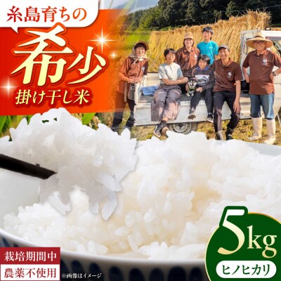 【令和7年産】福岡県 糸島市産 白米ヒノヒカリ (掛け干し米)5kg [AVQ005]