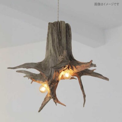 W Bulb Roots pendantlight ペンダントライト[ADC004]