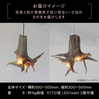 W Bulb Roots pendantlight ペンダントライト[ADC004]